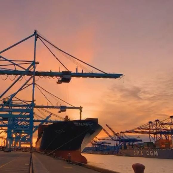 Meet your Posher, Gerardo - Picture 1 of 1